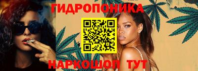 шишки Севастополь