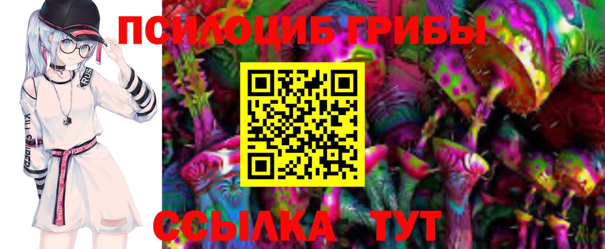 Галлюциногенные грибы Cubensis Новокубанск